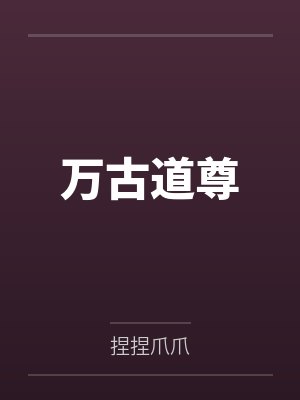 哪里的海鸥不会叫封面