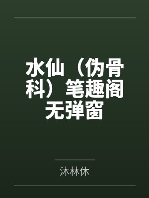 台风岛封面