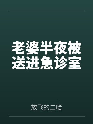 都市鉴宝天王无弹窗免费阅读封面